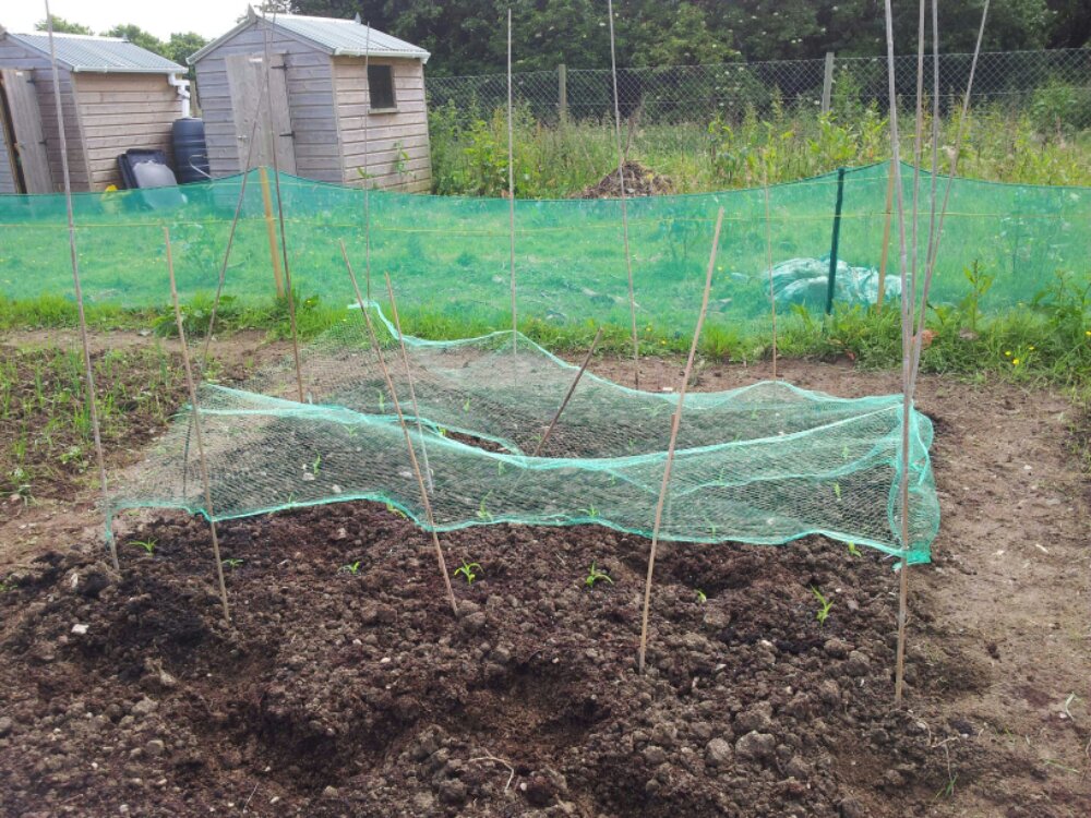 1340984191766.jpg image