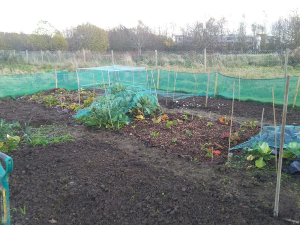 1352562692950.jpg image