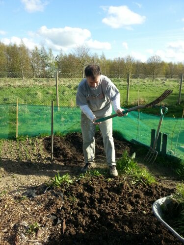 wp-1367427377999.jpg image