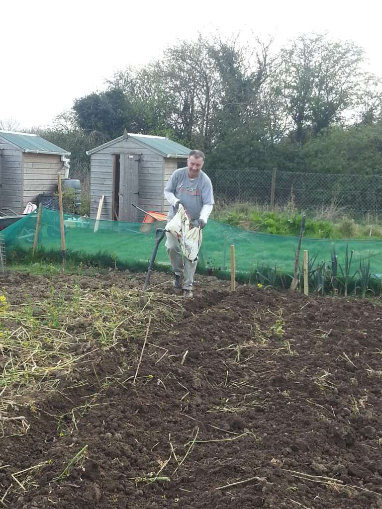 wp-1397235271000.jpg image