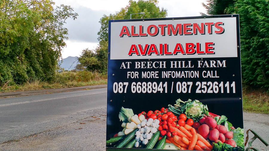 Taking on a New Allotment