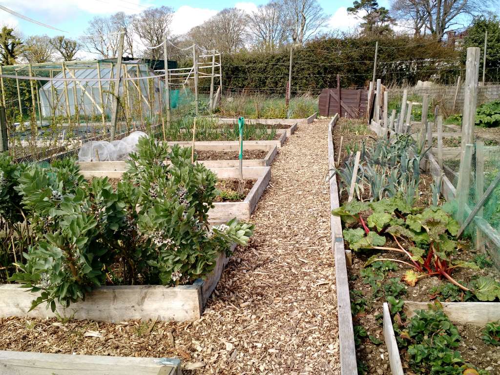 Work Progressing Well