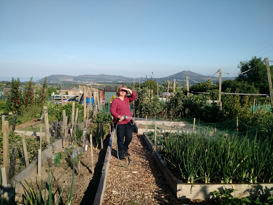Doing Some Watering during a Hot Spell