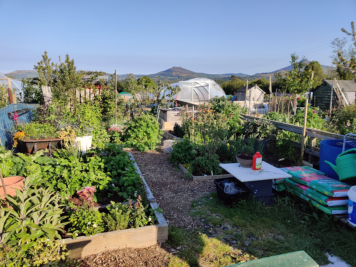 Early Season – May